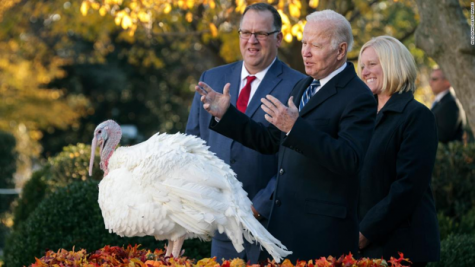“Some animals are more equal than others”; President Biden and his fellow humans taunt an already shattered turkey with a sham ceremony and lavish, derisive pomp.